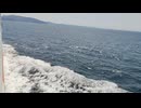 大日本帝国連合艦隊カラー映像！日本海軍連合艦隊二等駆逐艦 樅型【蓮】の第二次世界大戦当時の乗組員の気分になれるカラーフィルム！海軍WW2当時の太平洋戦争カラー映像