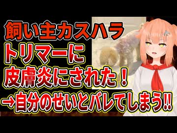【カスハラ飼い主】飼い犬のトリミングをめちゃくちゃにされた！拡散した飼い主が逆にトリマーにお手入れ不足を指摘されてしまうｗ