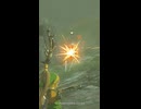 【ティアキン】マリッタ支部付近変装したイーガ団団員 ゼルダの伝説ティアーズオブザキングダム