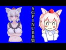 SGPINUBB集