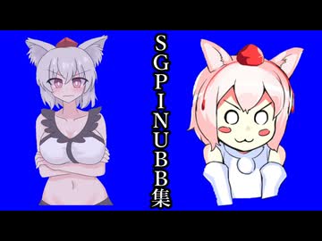SGPINUBB集