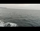 大日本帝国連合艦隊カラー映像！日本海軍の軍艦が1941年12月8日の真珠湾攻撃に向かう映像。第二次世界大戦当時のカラーフィルム！大日本帝国海軍WW2当時の太平洋戦争カラー映像