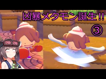 メタモンマスターきりたん　３へんげ【ぽこあポケモン】