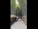 京都・嵐山の「竹林の小径」 - 2025年9月 (Short video)