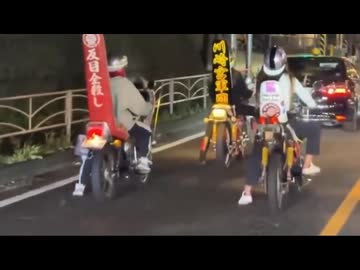 お嬢様と見る日本の交通事故集16