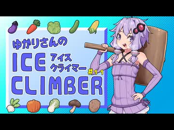 ゆかりさんのアイスクライマー #11