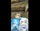 家を運ぶトレーラーを見つける雪さんとビィちゃん☃️❄️【Fallout76】