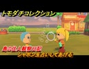 トモダチコレクション　シャボン玉占いしてあげる　島の住人観察日記　＃５２　【トモコレわくわく生活】