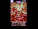 十六夜咲夜 ノーミスノーボム解説