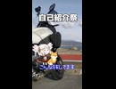 【ついなちゃん車載】旅の記録紹介に付き合わされるついなちゃん【自己紹介祭】