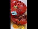 【自炊経験ゼロ】トマトのファルシ（肉詰め） 東北イタコの自炊経験ゼロから始める料理生活SHORT版【VOICEPEAK】