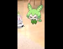 ロボット掃除機を眺めるちっちゃずんだもん