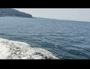大日本帝国連合艦隊カラー映像！日本海軍の軍艦が1942年1月27日のエンドウ沖海戦に向かう映像。第二次世界大戦当時のカラーフィルム！大日本帝国海軍WW2当時の太平洋戦争カラー映像