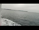 大日本帝国連合艦隊カラー映像！日本海軍の軍艦が1941年12月8日～23日のウェーク島沖海戦に向かう映像。第二次世界大戦当時のカラーフィルム！大日本帝国海軍WW2当時の太平洋戦争カラー映像