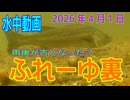 水中動画（2026年4月5日）in　ふれーゆ裏