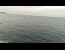 大日本帝国連合艦隊カラー映像！日本海軍の軍艦が1942年10月11日のサボ島沖海戦に向かう映像。第二次世界大戦当時のカラーフィルム！大日本帝国海軍WW2当時の太平洋戦争カラー映像