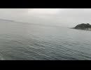 大日本帝国連合艦隊カラー映像！日本海軍の軍艦が1943年8月6日のベラ湾夜戦に向かう映像。第二次世界大戦当時のカラーフィルム！大日本帝国海軍WW2当時の太平洋戦争カラー映像