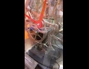 名古屋市科学館 機械式時計の仕組み プレイ動画