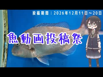 【投稿祭告知動画】魚動画投稿祭を開催します