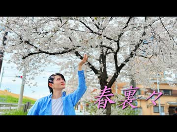 【よさ】春裏々　踊ってみた【超踊ってみたオフ2026】