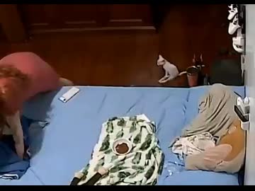 ホモと見る虫を見てたまげる下半身不随の猫