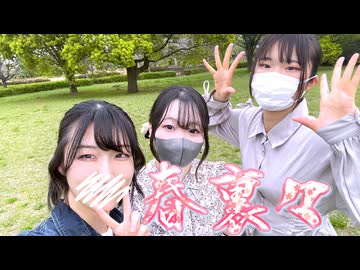 【踊オフ2026】春裏々 踊ってみた【.COM】