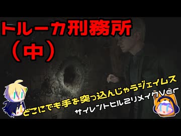 【刀剣乱舞偽実況】霧の町で妻を探す14日目（トルーカ刑務所・中）【審切々】