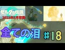 [tk18]ゼルダの伝説ティアーズオブザキングダム実況Part18 龍の泪の正体