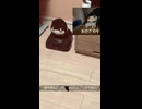 おさげーズ運転