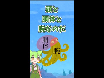 タコの頭はそこじゃ無いです□