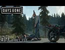 荒れ果てた世界を生き延びろ。【DAYS GONE Remastered実況part137(2週目#19)】