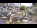 2026感動巨編