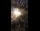おうちかえるオオサンショウウオ