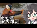 不定期散歩雑記_101 - 鳥取西部旅行(2日め) - 探鳥地をはしごして