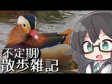 不定期散歩雑記_101 - 鳥取西部旅行(2日め) - 探鳥地をはしごして