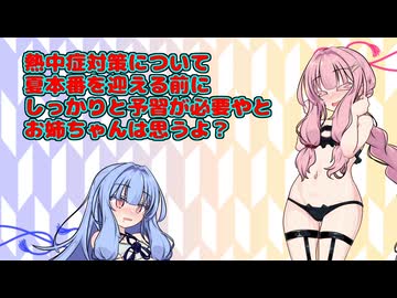 続続続続続・姉にカスの嘘を吹き込まれる妹