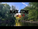 BLACK STONE 90秒歌ってみた