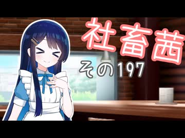 社畜茜その197【ソフトウェアトーク劇場】