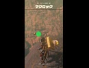 【ティアキン】ゴダイ川西のマグロック ゼルダの伝説ティアーズオブザキングダム