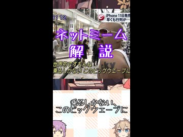ゆかつむネットミーム解説【乗るしかない、このビッグウェーブに】