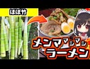 迷いの竹林でとった固いタケノコでメンママシマシ博麗家ラーメンをつくる！【料理】【ゆっくり実況】