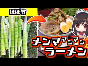 迷いの竹林でとった固いタケノコでメンママシマシ博麗家ラーメンをつくる！【料理】【ゆっくり実況】