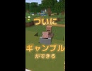 ついにギャンブルができる【マイクラ】