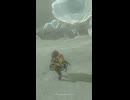 【ティアキン】ヘブラ山西岳南ガチロック ゼルダの伝説ティアーズオブザキングダム