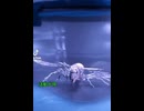 生きたスズメバチを冷蔵庫に入れて冷やす活動が停止したら、細い糸を体に結びつける　その後目覚めさせる♪この時、引き綱をつけた小型ペットのようになる♪このプロセスを100回繰り返せばスズメバチの軍隊を組織