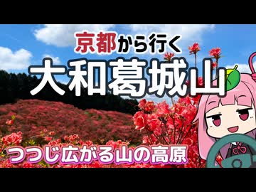 京都から行くドライブスポット！大和葛城山【続・京都から行く初心者ドライブスポット #47 】