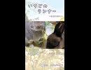 【うさぎ 13歳･5歳】いちごのランナー