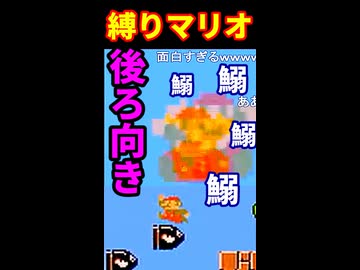 【縛りプレイ】後ろ向きだけでマリオ頑張ってみた【self-imposed challenges/Mario】 ※ショート