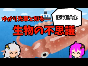 【VOICEROID解説】ゆかり先輩と知る生物の不思議【深海巨大化】
