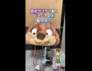 目がグリグリ動くビーバーロボ作ってみた！！ #m5stack  #ロボット #電子工作